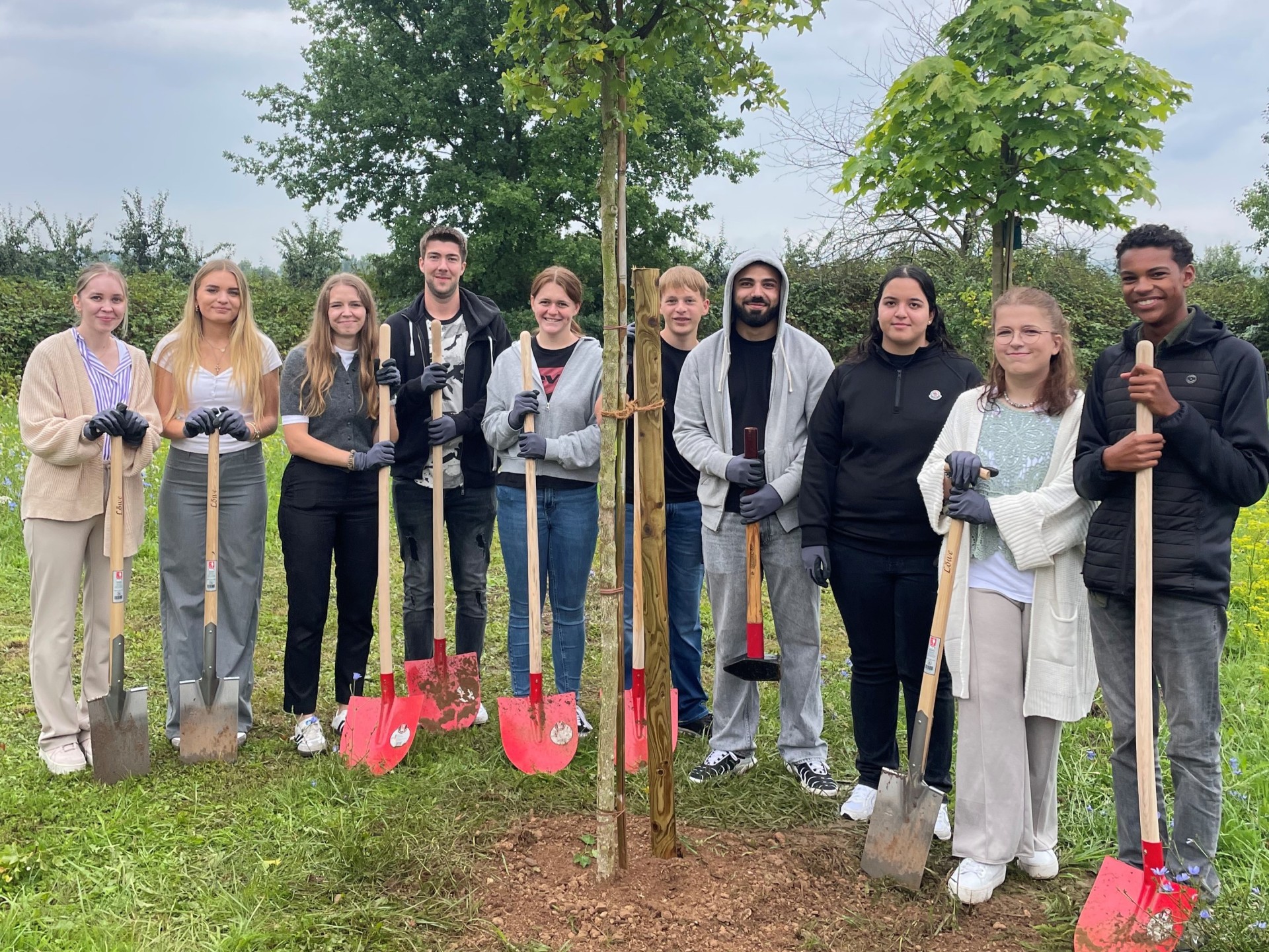 Baumpflanzaktion Azubis Gruppe Die Azubis stehen mit Schaufeln um den frisch gepflanzten Baum.