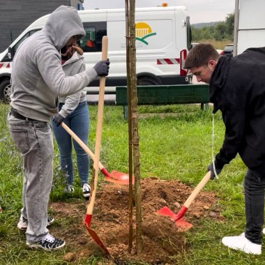 Drei Azubis schaufeln das Loch, in das der Baum gepflanzt wurde, zu.