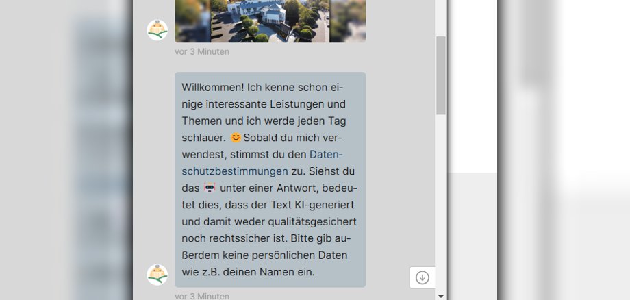 Der Text, der angezeigt wird, wenn sich der Chatbot auf der Internetseite öffnet. 