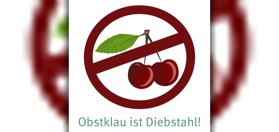 Rote Kirschen in einem roten Kreis sind mit einem roten Balken durchgestrichen, darunter der grüne Schriftzug Obstklau ist Diebstahl. 