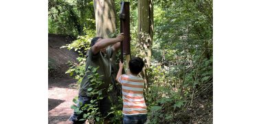 Waldaktivtag Pfahl aufstellen Ein Kind und ein Erwachsener stellen im Wald einen Baumpfahl auf.