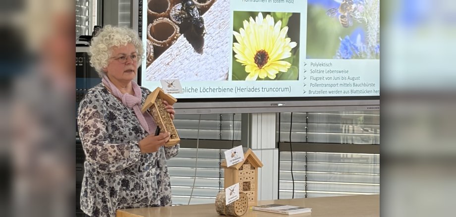 Wildbienenvortrag Foto Referentin Referentin Biggi Kaczmarek steht vor dem Bildschirm mit der Präsentation ihres Vortrags zu Wildbienen.