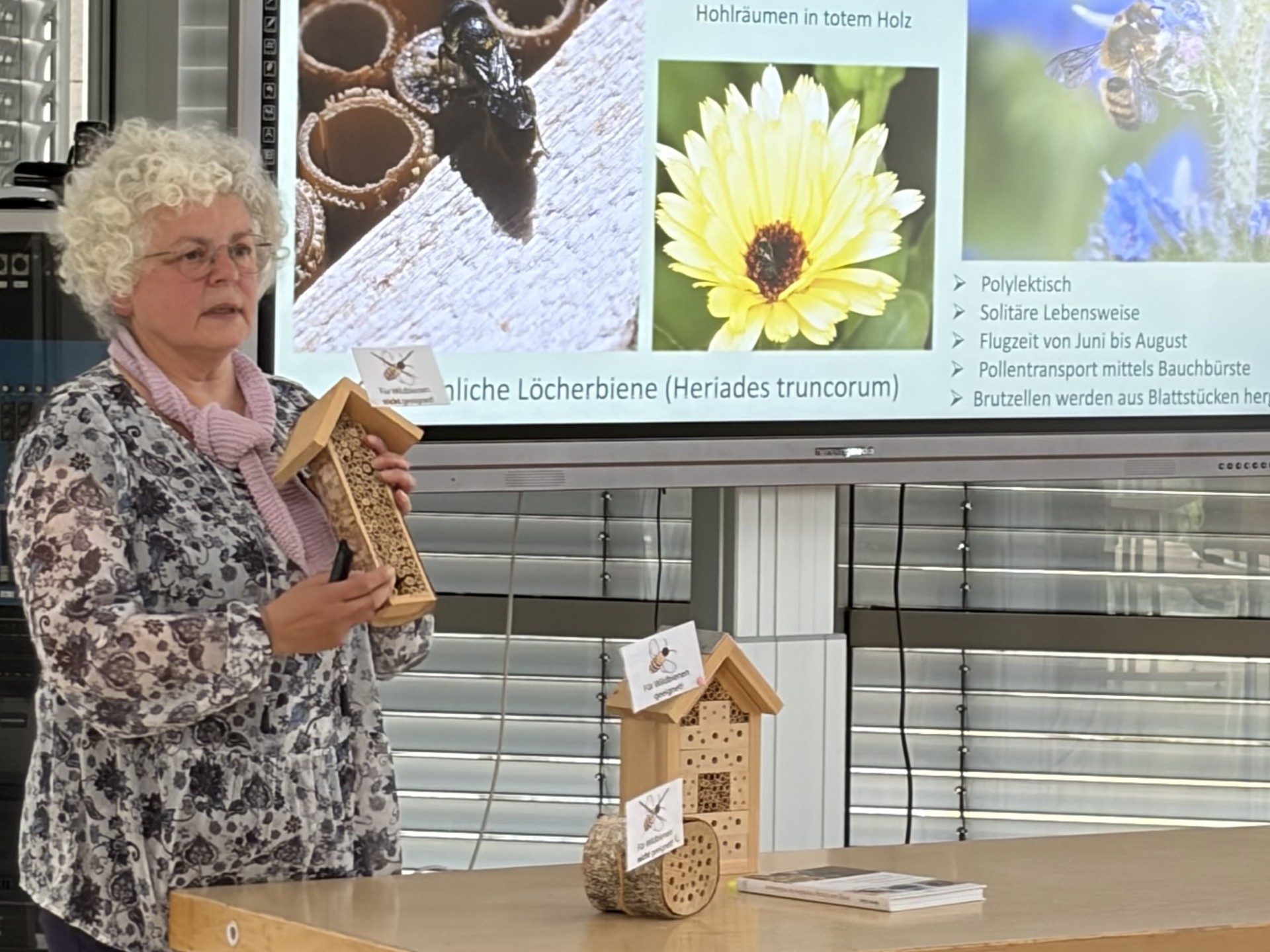 Referentin Biggi Kaczmarek steht vor dem Bildschirm mit der Präsentation ihres Vortrags zu Wildbienen. 