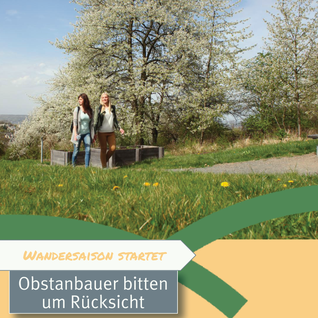 Grafik Start in die Wandersaison Zwei junge Frauen laufen zwischen blühenden Obstbäumen und grünen Wiesen mit Blumen auf einem Wanderweg, darunter der Schriftzug: "Obstanbauer bitten um Rücksicht"