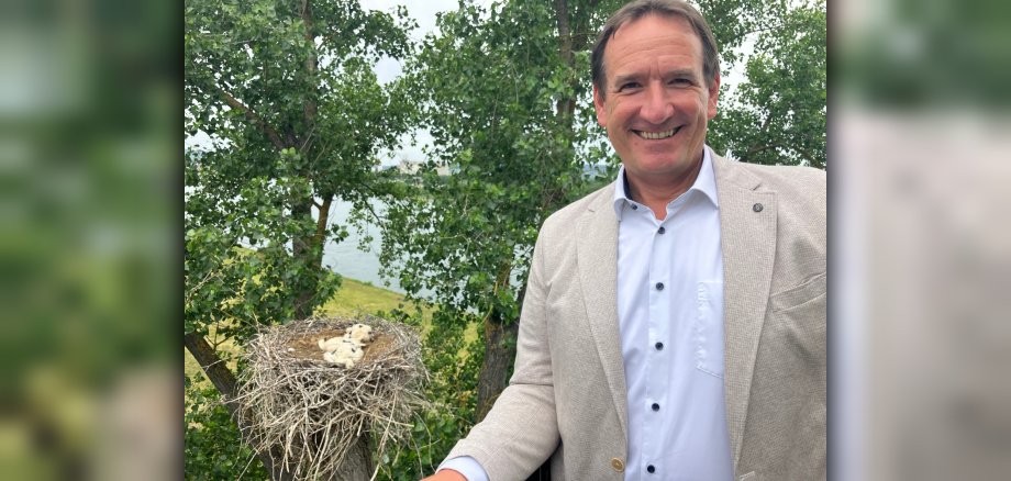 Weißstörche Bürgermeister Przybylla Bürgermeister Thomas Przybylla steht in luftiger Höhe auf einer Arbeitsbühne, hinter ihm drei Jungstörche in einem Horst.