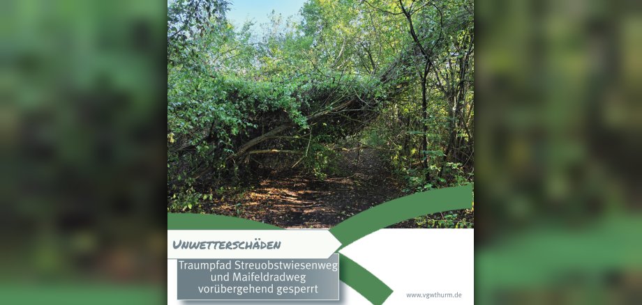 Unwetterschäden Grafik Ein umgestürzter Baum, der über einem Weg liegt, ist im Design des VG-Logos dargestellt mit dem Hinweis auf die Sperrung der Wege.