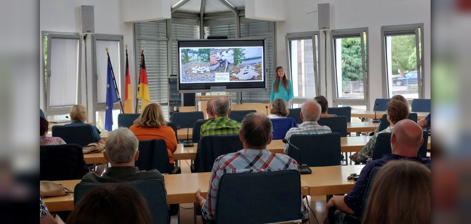 Vortrag Störche Foto Publikum 1 Die Referentin steht vor dem Bildschirm, davor sitzt das Publikum.