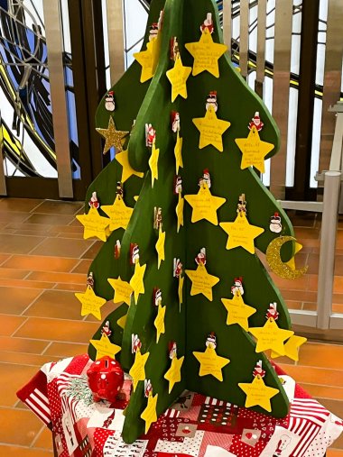 Gelbe Pappsterne hängen an einem Tannenbaum.