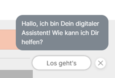 Digitaler Assistent 1 Screenshot des Einstiegs in den digitalen Assistenten der Internetseite.