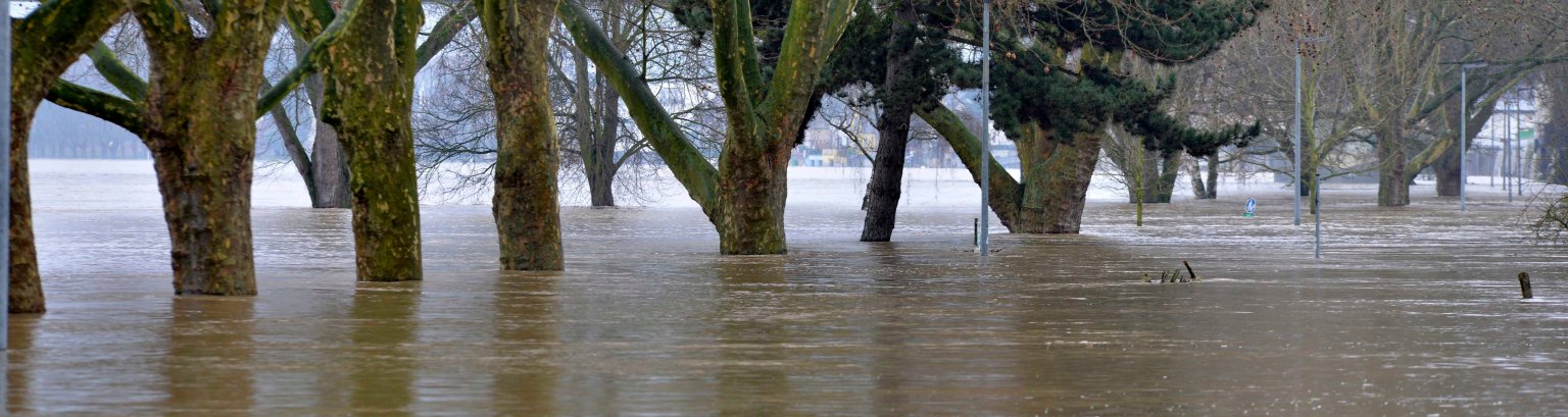 Foto Messlatten Hochwasser