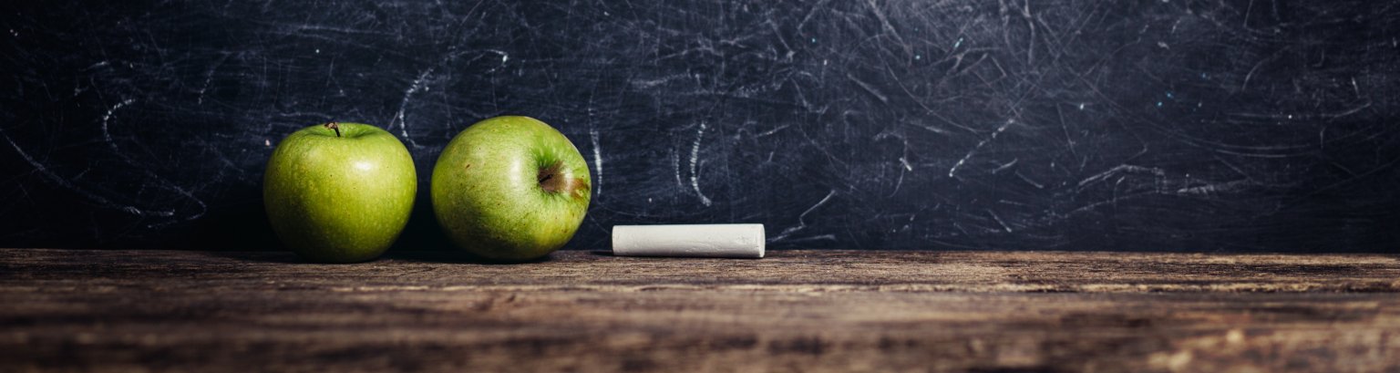 Schule  © Valentina_G/Shutterstock.com