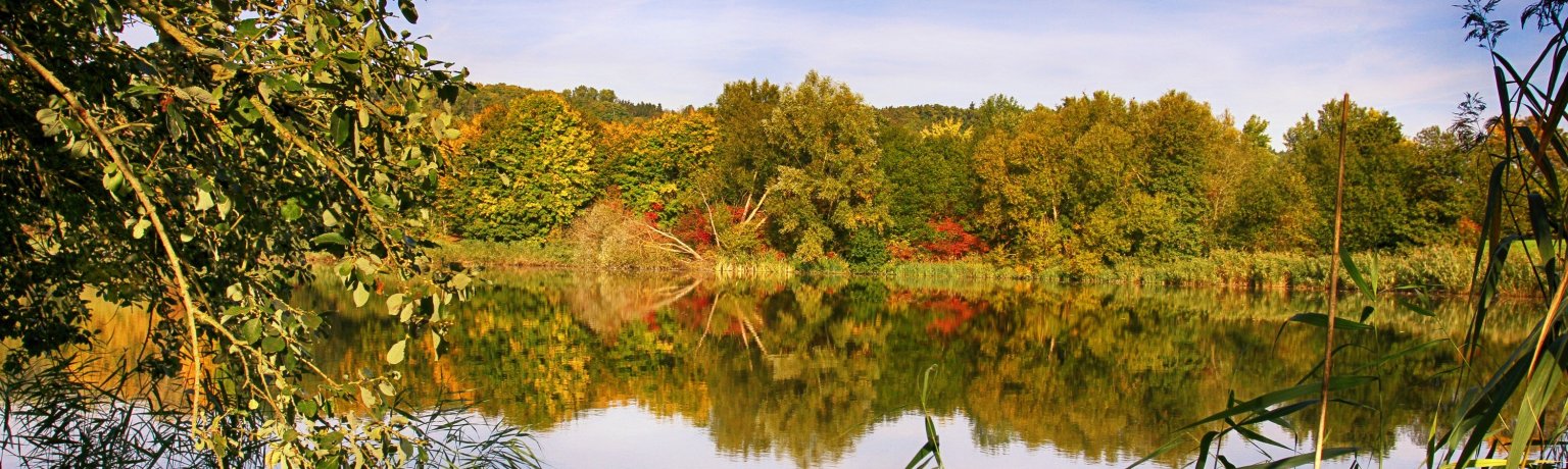 Herbstliche Landschaft Um einen See herum stehen Büsche und Bäume im herbstlichen Laub.