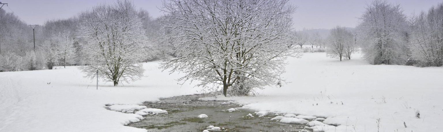 Winterlandschaft Die Bäume sind mit Schnee bedeckt der Fluss ist zu gefroren.